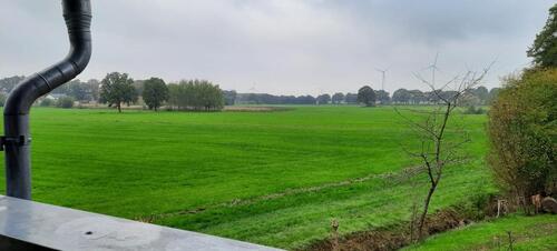 Foto - Etagenwohnung zur Miete in Ahlerstedt