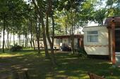 Foto - andere in Sternberg