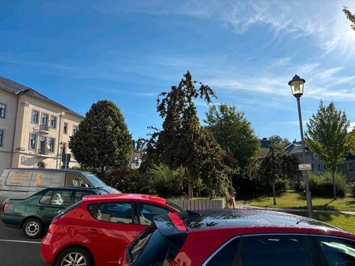 Foto - Etagenwohnung in Oelsnitz (Vogtland) zur Miete