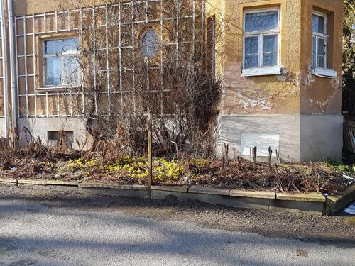 Foto - Einfamilienhaus in Auma-Weidatal