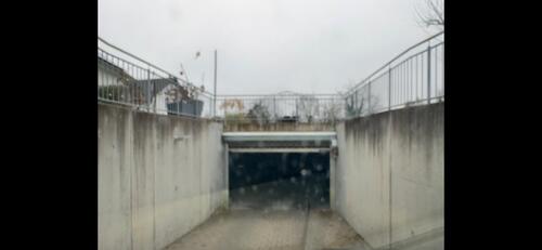 Foto - andere in Radolfzell am Bodensee