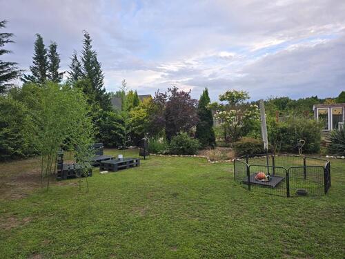 Foto - 3 Zimmer Einfamilienhaus in Sassenburg