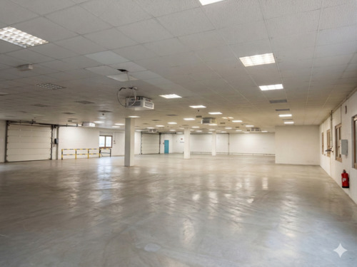 Foto - andere in Wald-Michelbach