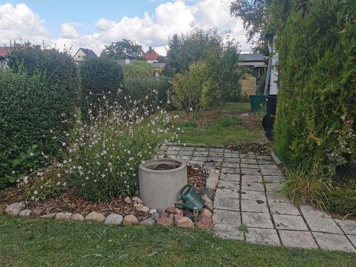 Foto - Grundstück in Dessau-Roßlau zur Miete