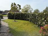 Foto - 5 Zimmer Terrassenwohnung zur Miete in Aurich