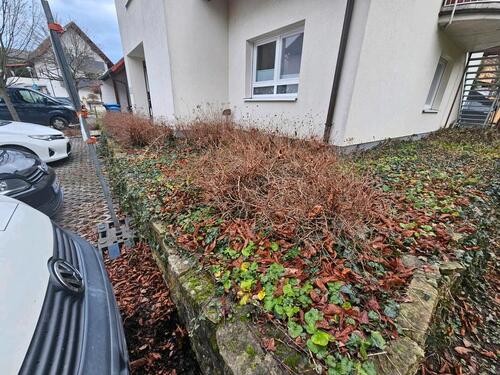 Foto - 1.5 Wohnungen plus Anteilig Gartengrundstück in Bad Schönborn