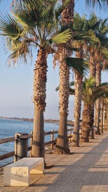 Foto - Etagenwohnung in Dortmund