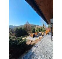 Winterberg: Ferienhaus 1000 Berge mit Kamin und Whirlpool