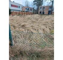 Bau reifes Grundstück Gemarkung Hellerau Klotzsche - Dresden