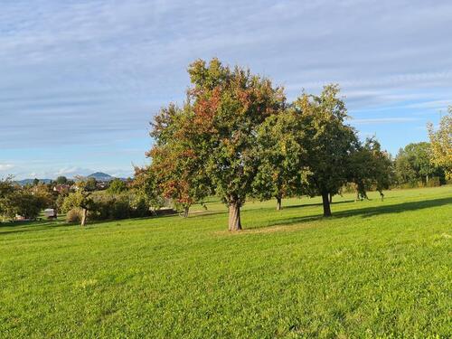 Foto - 