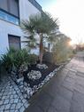 Foto - Exklusives Einfamilienhaus in Köln Heimersdorf von privat