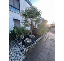 Exklusives Einfamilienhaus in Köln Heimersdorf von privat