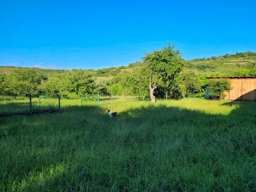 Foto - 6 Zimmer Einfamilienhaus in Ostrach