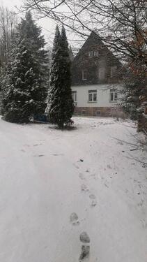 Foto - 