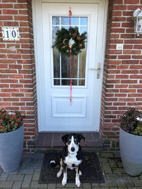 Foto - Ferienwohnung mit Hund Nordsee - Winterspecials