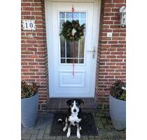 Ferienwohnung mit Hund Nordsee - Winterspecials - Wangerland