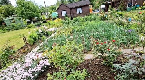 Foto - Kleingärten, Pachtgarten - 1.800,00&nbsp;EUR Kaltmiete, ca.&nbsp; 0,00&nbsp;m&sup2;