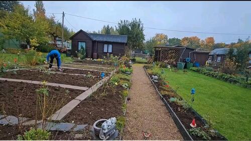 Foto - Grundst&uuml;ck in Plauen zur Miete