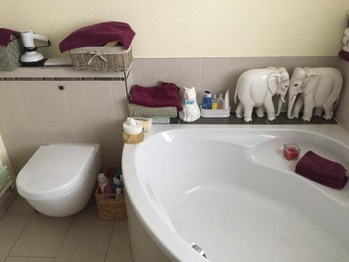 Foto - Erdgeschoßwohnung in Schwetzingen zum Kaufen