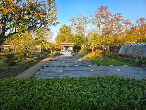 Foto - Pachtgarten - 1.350,00 EUR Kaltmiete, ca.  0,00 m²