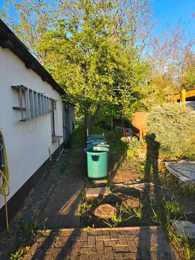 Foto - Grundstück in Magdeburg zur Miete