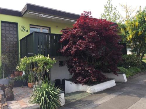 Foto - Etagenwohnung zur Miete in Bad Driburg