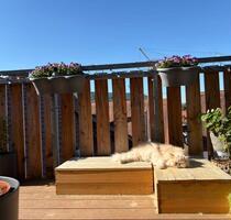 Lichtdurchflutete 4-Zimmer-Altbauwohnung mit Balkon - Weißenburg in Bayern