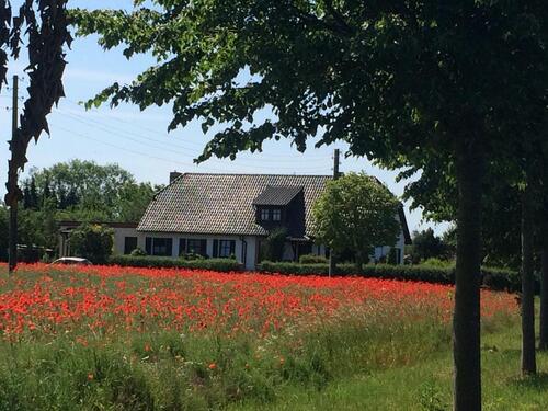 Foto - Ferien auf privatem Pferdehof am Tollensetal