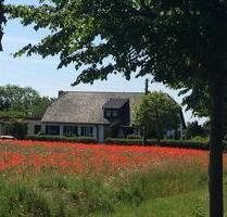 Ferien auf privatem Pferdehof am Tollensetal - Burow