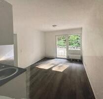 1 Zi. Appartement 20qm in Erlenbach a. Main - Erlenbach am Main