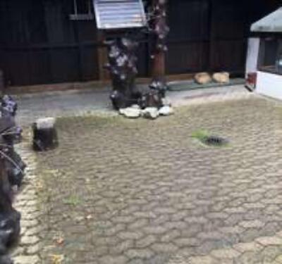 Foto - Einfamilienhaus zur Miete in Wendeburg