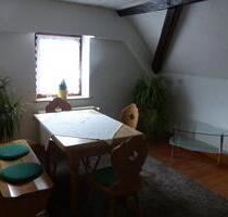 ferienwohnung spessart main unterfranken frei 1.april ostern - Eschau