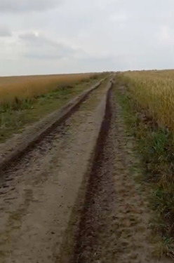 Foto - andere zur Miete in Damme