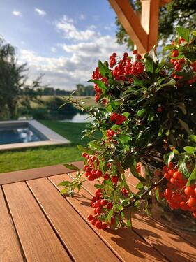 Foto - 7 Zimmer Einfamilienhaus zum Kaufen in Erkner