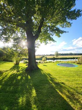 Foto - Einfamilienhaus in Erkner zum Kaufen