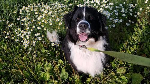 Foto - 2 Zimmer andere in Bad Salzuflen