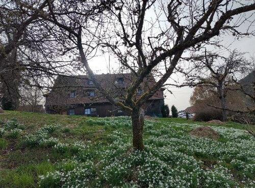 Foto - 3,5 Zimmer Wohnung in Klosterreichenbach, ruhig und zentral