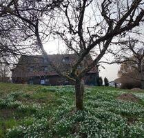 3,5 Zimmer Wohnung in Klosterreichenbach, ruhig und zentral - Baiersbronn