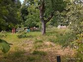 Foto - Einfamilienhaus in Großschönau zum Kaufen