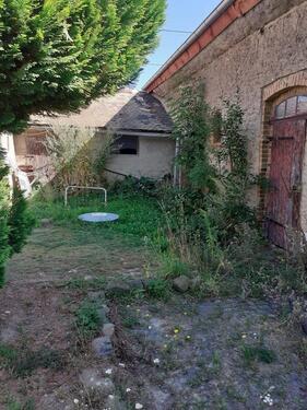 Foto - Einfamilienhaus zur Miete in Delitzsch