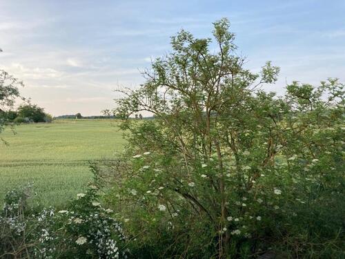 Foto - 3 Zimmer Etagenwohnung in Gronau (Leine)