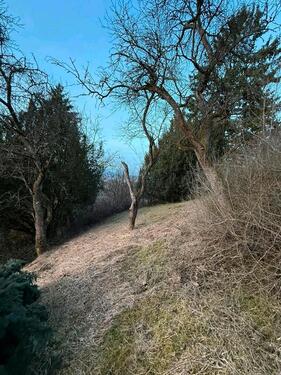 Foto - 3 Zimmer Bungalow zum Kaufen in Coburg