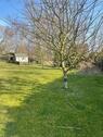 Foto - Einfamilienhaus in Tessin