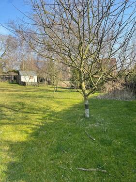 Foto - Einfamilienhaus in Tessin