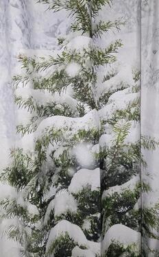 Foto - Wald in Bad Saarow - 2,00&nbsp;EUR Kaltmiete, ca.&nbsp; 0,00&nbsp;m&sup2;