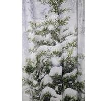 Wald in Bad Saarow - 2,00&nbsp;EUR Kaltmiete, ca.&nbsp; 0,00&nbsp;m&sup2; in Steinhöfel (PLZ: 15518)