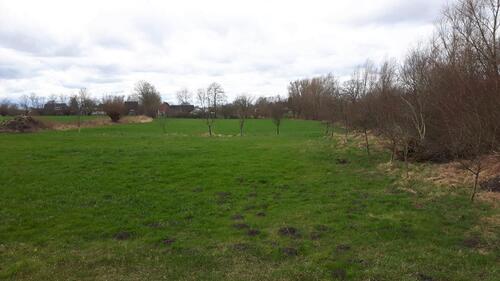 Foto - Von privat: Wiesen Grundstücke Hamm Braam ggf. Bauland 10.495 qm