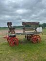 Foto - Müritz >>Eldehof<< Ferienhaus Ferienwohnungen mit Hund