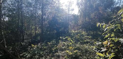 Foto - Naturschutzgebiet zum abweiden - 5,00 EUR Kaltmiete, ca.  0,00 m²