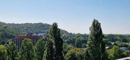 Foto - Etagenwohnung zur Miete in Düsseldorf